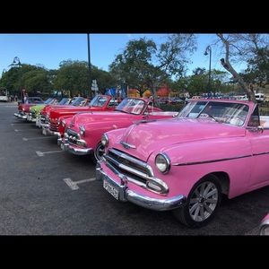 Meet your Posher, Liana